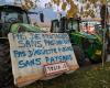 Agrarkrise: Planen und ein erstes Treffen der Landwirte in Savoie und Haute-Savoie an diesem Montag