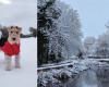 In Bildern: Die besten Fotos der Zuschauer, während der Schnee die Midlands erreicht