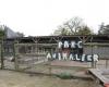 Hühner, Kaninchen … Die Curie-Schule wird die Anzahl der in ihrem Park in Mayenne willkommenen Tiere reduzieren