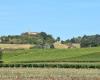 Lisle-sur-Tarn. Chemin Toulze, Route der frühen Produkte…