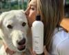 Jennifer Anistons Haarpflegemarke LolaVie bringt Hundeshampoo auf den Markt (exklusiv)