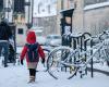 Schnee-Eis, Wind: 49 Dienststellen stehen ab Donnerstagmorgen unter orangefarbener Wachsamkeit