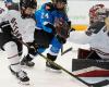 Im Februar findet in Edmonton ein professionelles Frauenhockeyspiel statt