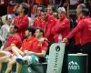 Davis Cup, Der Blog des Herausgebers > David Ferrer, verantwortlich, aber nicht schuldig!