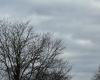 Zu den Wetteränderungen im Shenandoah Valley gehören ab Donnerstag Schnee und Wind