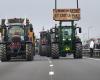 Wut der Landwirte: Demonstrationen, Filterung … Was Landwirte im Westen von Toulouse planen