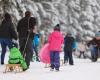 Schnee im Harz: Aber Tourismusverband rät vom Rodeln ab | News