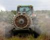 In Europa zugelassene Pestizide sollten „auch in Frankreich zugelassen werden“, betont der Landwirtschaftsminister