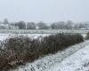 Wetter: Schneefallanhäufungen von „5 bis 10 Zentimetern“ im Département Mayenne