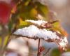 Wie wird das Wetter in Avranches und Umgebung am Donnerstag, den 21. November 2024 sein?