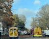 Sturm Caetano. Ein Mann wurde schwer verletzt, nachdem in Nantes ein Baum auf sein Auto fiel