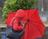 Sturm Caetano. Windböen bis zu 110 km/h: Maine-et-Loire in Alarmbereitschaft