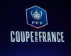 Coupe de France: Wann wird LOSC seinen Gegner im 32. Finale kennen?