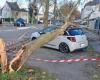 Sturm Caetano verursacht Schäden in Saint-Nazaire und Loire-Atlantique