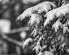 Höhenunterschiede bei der Schneeanhäufung bis Donnerstagnacht und Freitagmorgen