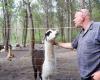 Dieser Tierpark in der Gironde sucht Freiwillige nach Schäden