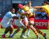 Top 14 – Perpignan: die Entwicklung von Adrien Warion mit Usap, um die lange Abwesenheit von Posolo Tuilagi zu ersetzen