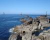 Finistère: Ein goldener Hummer, ein äußerst seltenes Exemplar, gefangen auf der Insel Ouessant