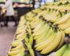 warum der Preis für Bananen wahrscheinlich steigen wird