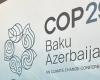 COP29: Welche Zukunft haben Umweltschützer in Afrika angesichts der Klimakrise? – VivAfrik