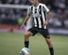 Botafogo x Vitória Vorhersage – Brasilianische Meisterschaft