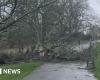 Sturm Bert bringt Wind und Regen nach Südwesten