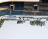 Fans helfen mit, um Swissporarena von Schnee zu befreien