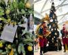 Im Polygone de Montpellier wird (endlich) ein Weihnachtsmarkt aufgebaut!