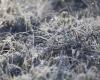 Wetter: – 6°C, – 5,5°C, – 5°C… weit verbreiteter Frost in Aveyron an diesem Samstagmorgen, hier sind die Gemeinden, die am stärksten von der Kälte betroffen sind