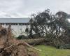 Sturm Caetano. Der beeindruckende Baumsturz in einer Gemeinde in Deux-Sèvres