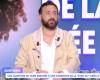 „Es ist ein Schiffbruch“: Cyril Hanouna greift Doria Tillier und ihre Serie Iris an (VIDEO)