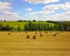 Wie viel kostet das Feld in Ihrer Nähe? Diese neue amtliche Tabelle gibt die Preise für landwirtschaftliche Flächen an