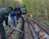 Auf der Suche nach morgen | Haute-Marne. Waldbewirtschaftung im „irregulären Wald“