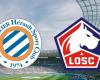 Lille: Auf welchem ​​Kanal und zu welcher Uhrzeit kann man das Spiel der Ligue 1 live verfolgen?