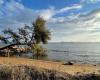 TOULON: Wetter – Insgesamt wird es am Montag in der Provence sonnig sein