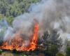 Vermeidung von Bränden im Sommer in der Aude: Was Sie über die Waldräumungspflicht wissen müssen