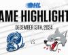 OHL-Highlights: Brampton Steelheads @ Sudbury Wolves 13. Dezember 2024