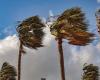 Sturm Dorothea erzwingt die Absage des Unterrichts auf El Hierro, Teneriffa, La Gomera und Gebieten von La Palma