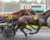 PMU – Ankunft der Quinté am Samstag, 21. Dezember in Paris-Vincennes: Traumtag, auch bei Regen