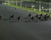 PRIX DE JABLINES – PARIS-VINCENNES – 20.12.2024: Starter, Vorhersagen und Ergebnisse in Videos – Rennen 6