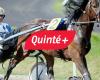 Quinté-Vorhersage des Tages (Samstag, 21. Dezember) in Paris-Vincennes: Prix d’Evreux, Quoten, Favoriten