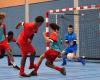 Blois Pro Futsal zwischen Geselligkeit und Wettbewerb