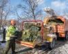 NYC Parks eröffnet das Mulchfest mit neun Abgabestellen in der Bronx für das Recycling von Weihnachtsbäumen – Bronx Times