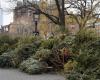 So entsorgen Sie Ihren Weihnachtsbaum auf der Upper West Side verantwortungsvoll