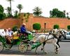 Auf dem Platz Djemaa El-Fna dürfen keine Kutschen fahren