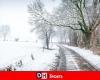 Wetter: bis Samstag bis zu 20 Zentimeter Schnee in den Haute Ardenne, bevor es vorübergehend mild wird, „aber es ist nur vorübergehend, der Schnee wird zurückkehren“