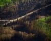 Das kanadische Klima begünstigt zunehmend schwere Waldbrände