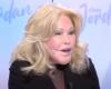 Tod von „Cat Woman“ Jocelyne Wildenstein im Alter von 79 Jahren