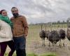 Zwei neue Gesichter beim Ostrich Walk in La Peyratte