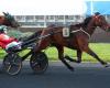 Prix ​​de Coucy-Le-Château 2025 in Vincennes: Lady Dada, erhielt 3/3